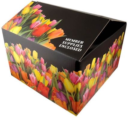 Ανακυκλώσιμα Tuck Top Box Εργαλεία κυανό χαρτί χαρτόνι συσκευασία Καρτόνι