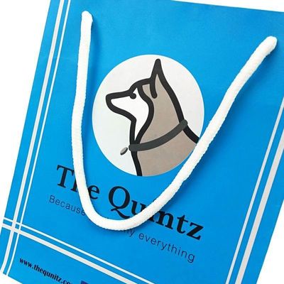 Περιβαλλοντικώς φιλικό Custom Clothing Packaging Bag με ανακυκλωμένο χαρτί χωρίς ξύλο και Custom Logo