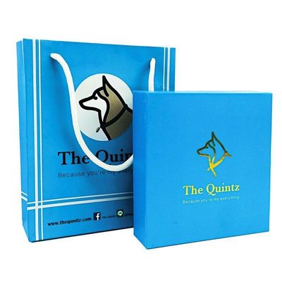 Περιβαλλοντικώς φιλικό Custom Clothing Packaging Bag με ανακυκλωμένο χαρτί χωρίς ξύλο και Custom Logo