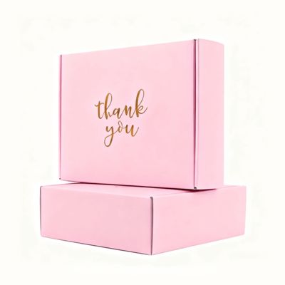 Corrugated Recyclable Biodegradable Gift Packaging Shoes Clothes Sponge Lined Postal Mailer Shipping